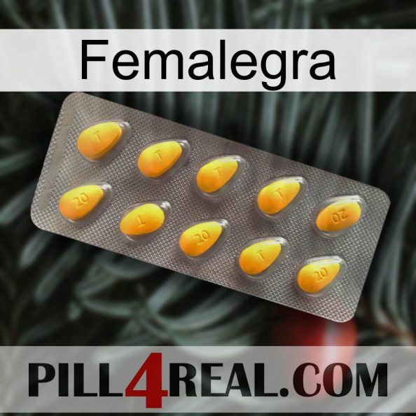 Femalegra cialis1